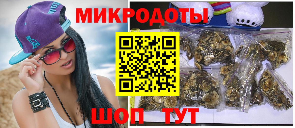 Галлюциногенные грибы Psilocybe  Вход с VPN  Асино 